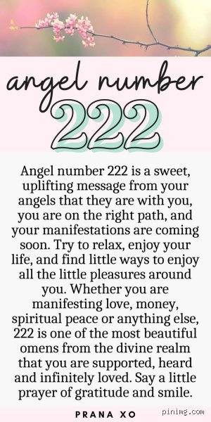 The Cosmic Blueprint of Connection: What Does 222 Mean in Love and Relationship Alignment?