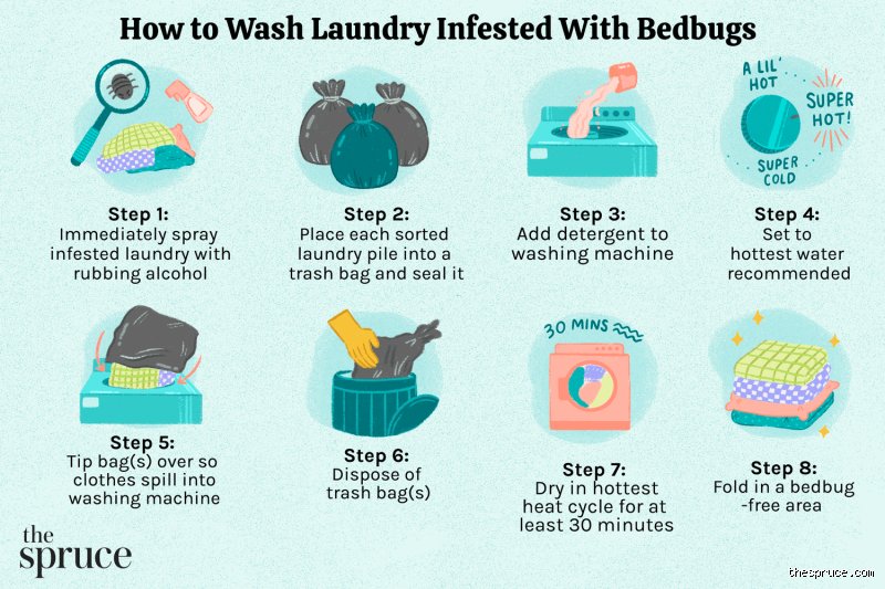 How to Avoid Bed Bugs at Laundromat Facilities Without Losing Your Sanity