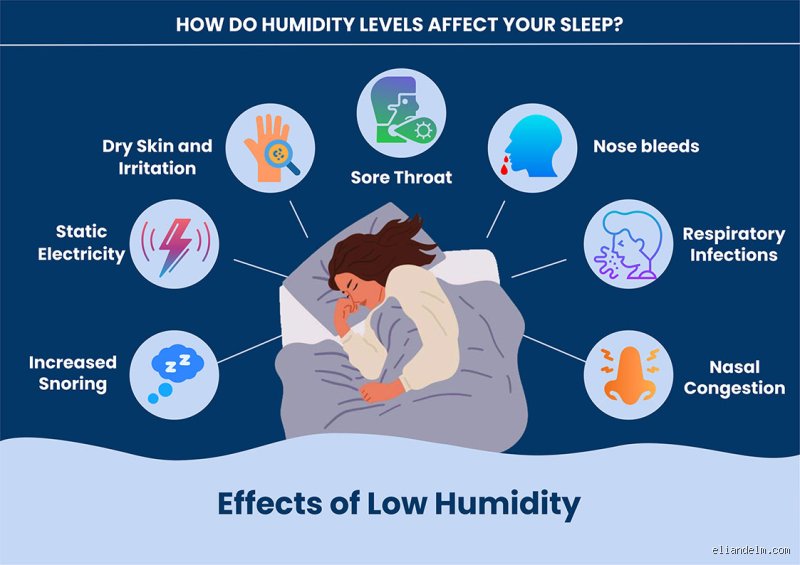 Is 40% Humidity Too Low for Sleeping? The Hidden Science of Bedtime Atmospheric Moisture