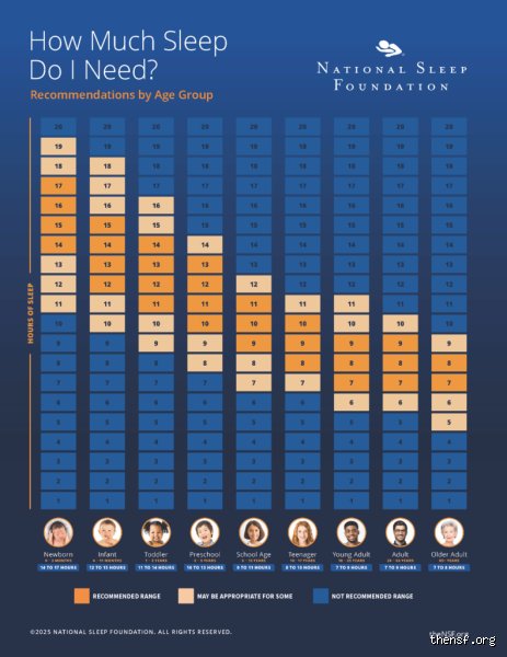 The Architecture of Oblivion: What Age Range Sleeps the Most and Why It Matters