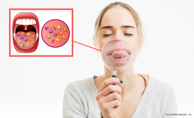 Beyond the Romance: What Illnesses Can Be Transmitted Through Kissing and the Hidden Virology of Saliva