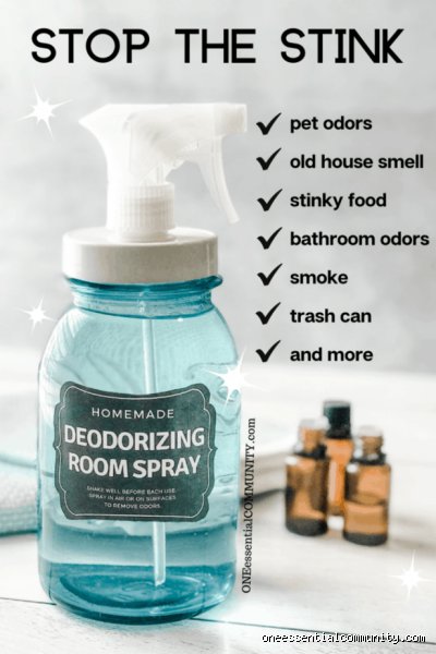 The Science of Stench: What is the Most Powerful Odor Eliminator DIY You Can Make at Home?