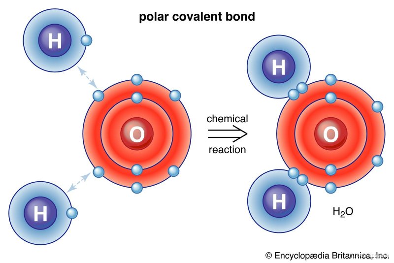 Unlocking the Molecular Vault: Which Two Elements Can Water Be Broken Down Into?