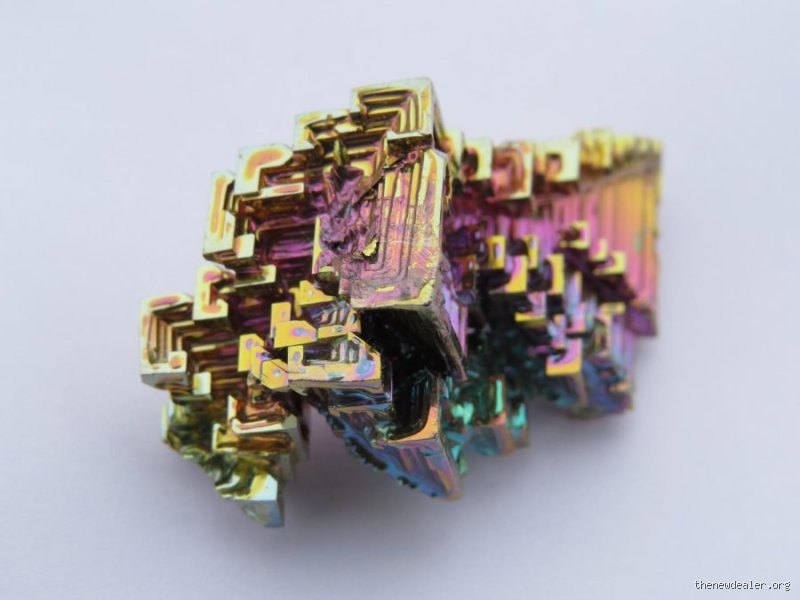 The Ultimate Hunt for the #1 Rarest Thing in the World and Why Rarity is a Lie