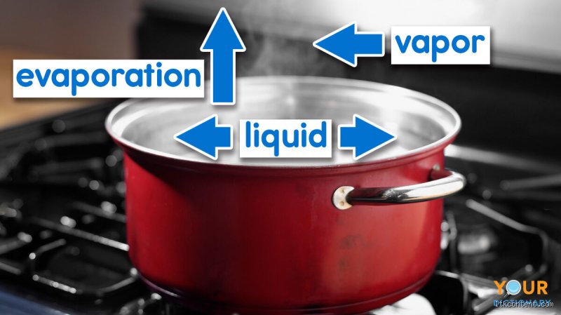 Sweating, Salt Harvesting, and the Hidden Engine: What is the Real World Example of Evaporation That Drives Our Planet?