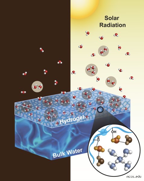 Is the evaporation of water faster in sunlight under normal atmospheric conditions?