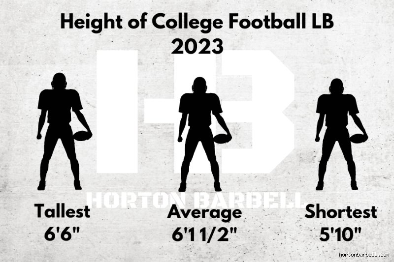 Can You Be a 5'10" Linebacker? Demolishing the Gridiron Height Myth with Cold Hard Reality