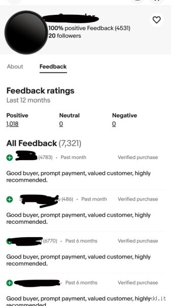 Navigating the Digital Marketplace: How to Spot the Major Red Flags for eBay Sellers Before You Get Burned