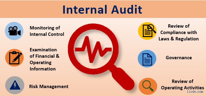 What are the 5 importances of auditing?