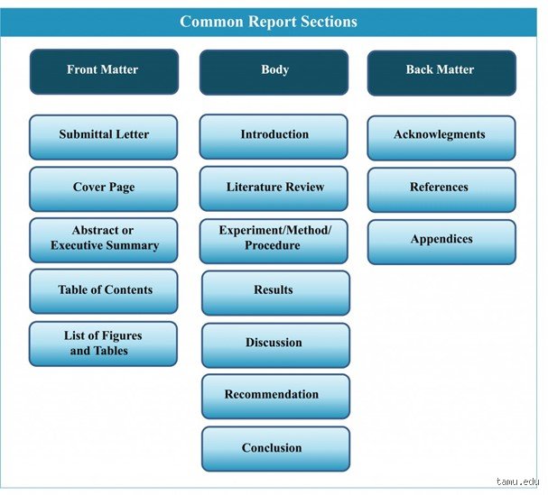 Anatomy of a professional report: Understanding the structural blueprint (part 1)