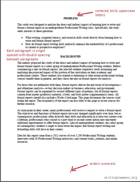 Demystifying the Document: What is an Official Report and Why Does It Shape Modern Governance?