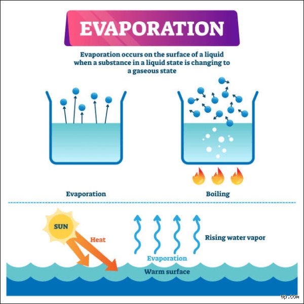 How Does Exposure To Sunlight Affect The Rate Of Evaporation In Natural Ecosystems
