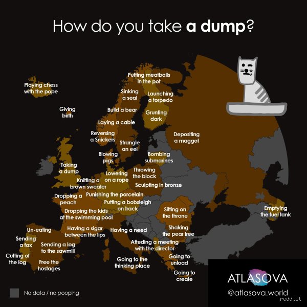Beyond the Bathroom Vocabulary: What Can I Say Instead of Poo to Elevate Your Everyday English?