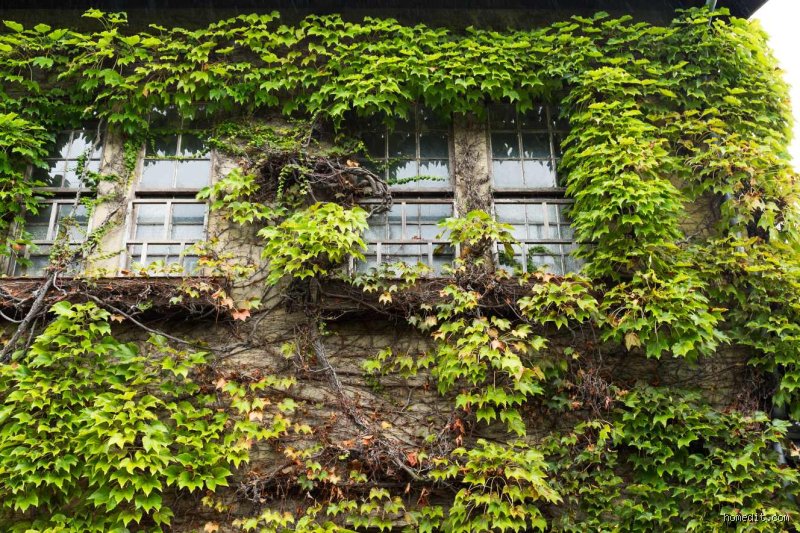 The Hidden Forces That Can Ruin a House and Destroy Your Financial Safety Net