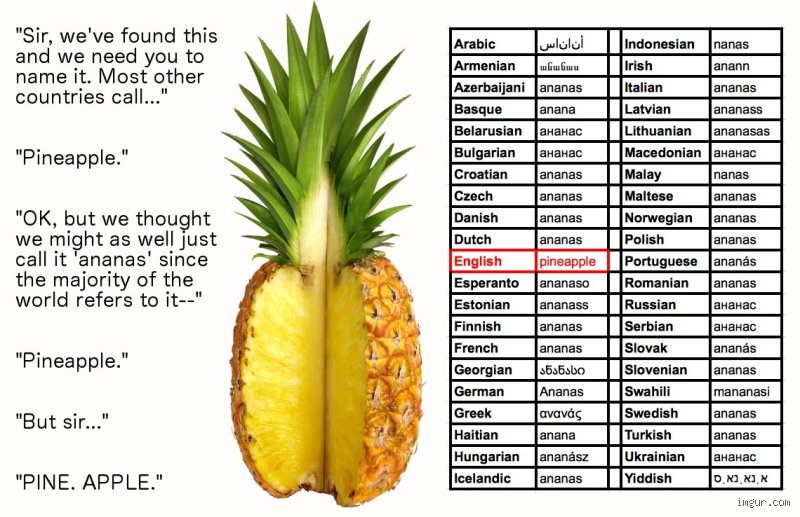 Why Soldiers Call Grenades Pineapples: The Deadly History Behind Military Slang