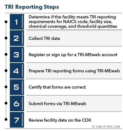 Decoding the Financial Blueprint: What Are the Three Reports That Actually Matter for Business Survival?