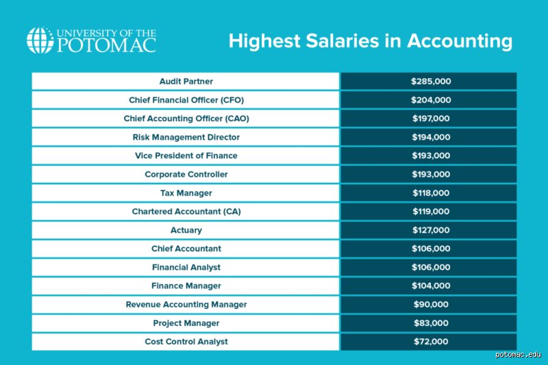 Show Me the Money: Which High-Stakes Field of Accounting Actually Makes the Most Money in Today’s Market?