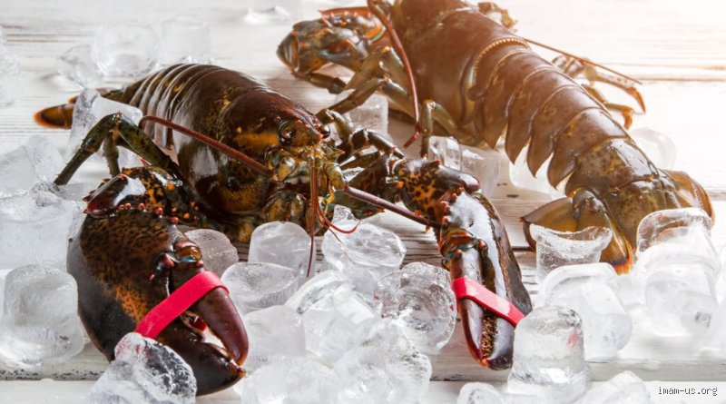 Cracking the Shell: Why Can’t Muslims Have Lobster and the Great Islamic Seafood Debate