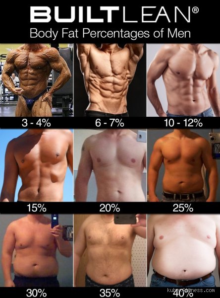 The Visual Reality of a 20% Body Fat Person: What Does That Lean, Athletic, or Average Physique Actually Look Like?