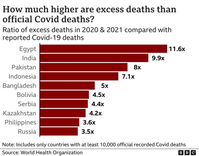 How many people died from COVID-19 during the pandemic?