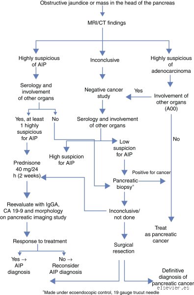 Navigating the Diagnostic Maze: How to Rule Out Autoimmune Pancreatitis Without Misdiagnosing Malignancy