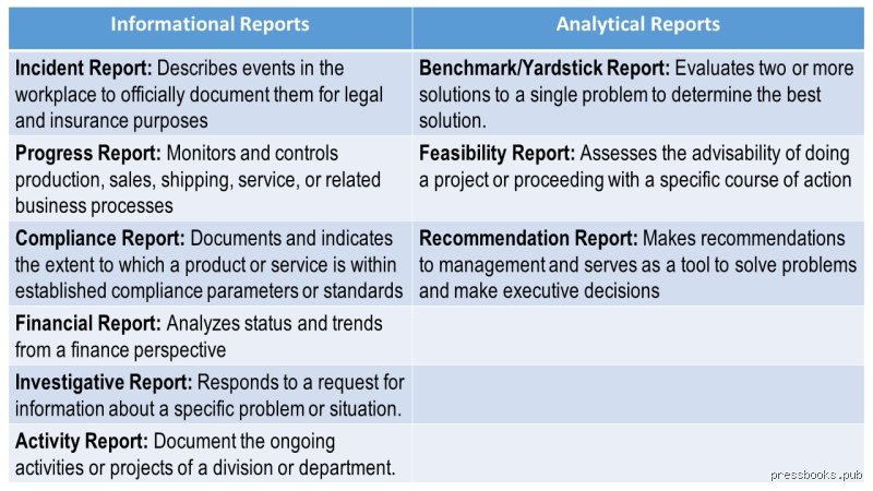 Beyond the Data Dump: What Are the Two Major Kinds of Reports That Actually Matter in Business?
