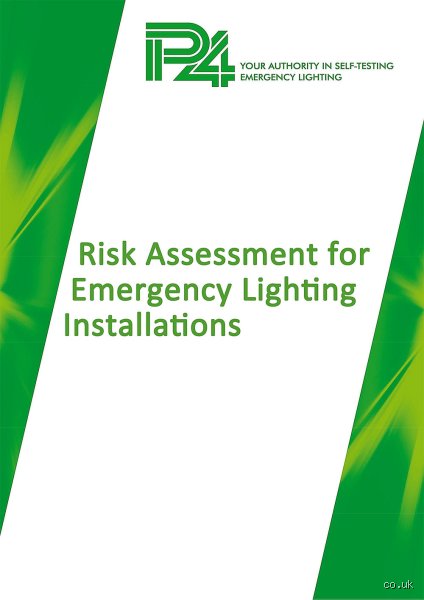 Demystifying the P4 Risk Assessment: Why Modern Infrastructure Networks Are Completely Rethinking Systemic Vulnerabilities