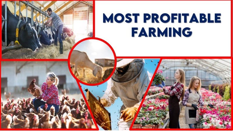 Which organic farming is most profitable in India? High-margin agricultural strategies for the subcontinent