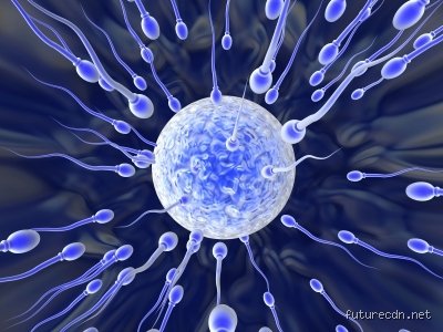 The Biological Sweepstakes: Why Do Men Release So Much Sperm During Ejaculation?