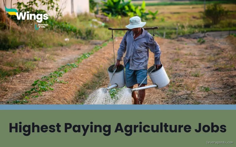 What Is the Highest-Paying Job in Agriculture? (And Why It's Not What You Think)
