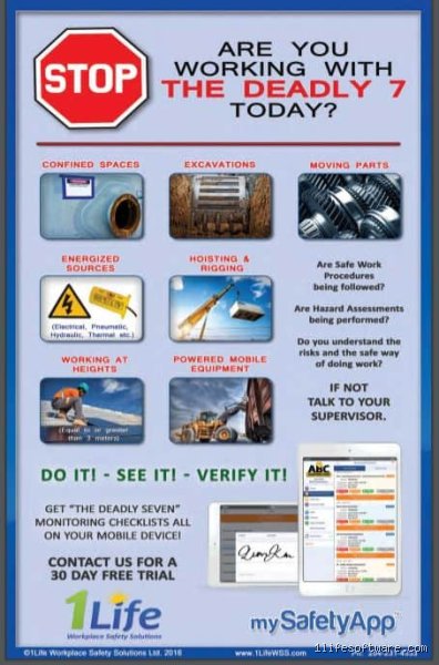 Why the 80 20 Rule in Safety is the Most Misunderstood Weapon in Your Risk Mitigation Toolkit