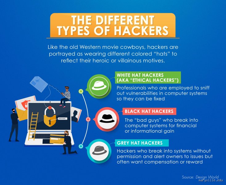 Beyond the Movie Tropes: What Do Hackers Usually Want From Your Network?