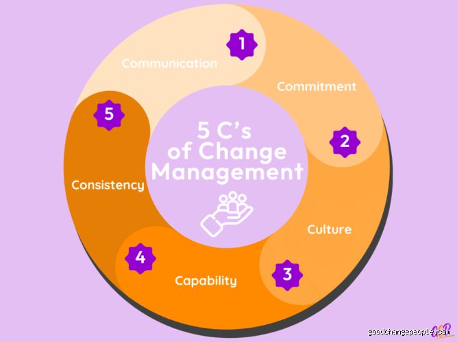 Why Navigating the 5 C’s in Management Will Radically Transform Your Modern Leadership Strategy
