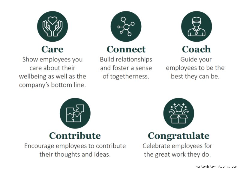 What are the 5 C's of employee engagement?