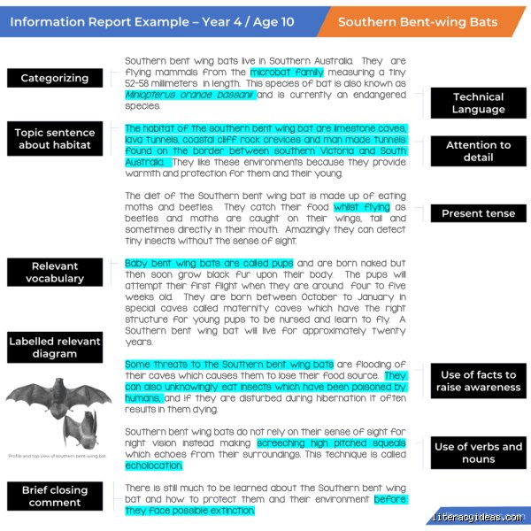 What should be written as an informational report for corporate intelligence and data analysis
