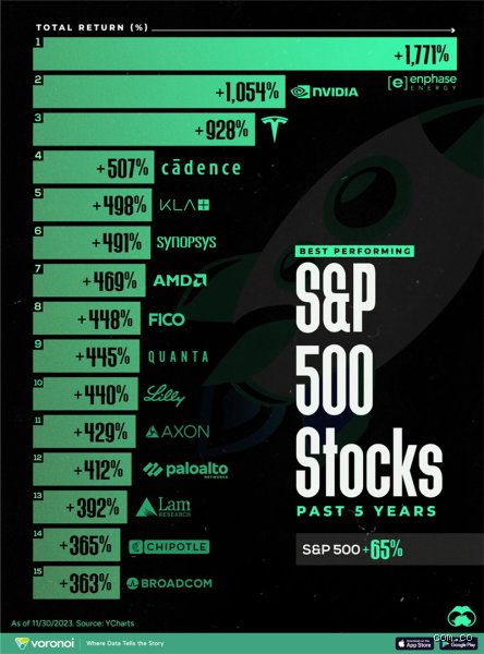 Unpacking What Stock Has the Best 5 Year Return Across Modern Markets