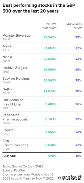 What Stock Has the Highest Return? (Part 1: The Architecture of Wealth and Historical Realities)