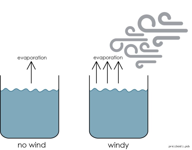 Does wind speed up evaporation and how does moving air actually transform surface drying dynamics?
