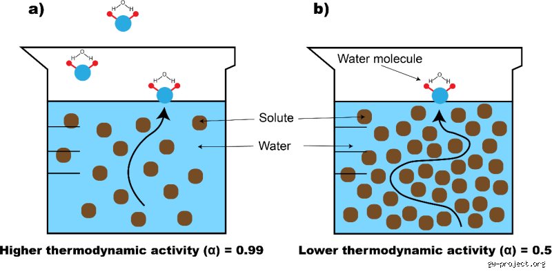 Steering the Phase Transition: How to Increase the Evaporation Rate of Water for Industrial and Domestic Efficiency