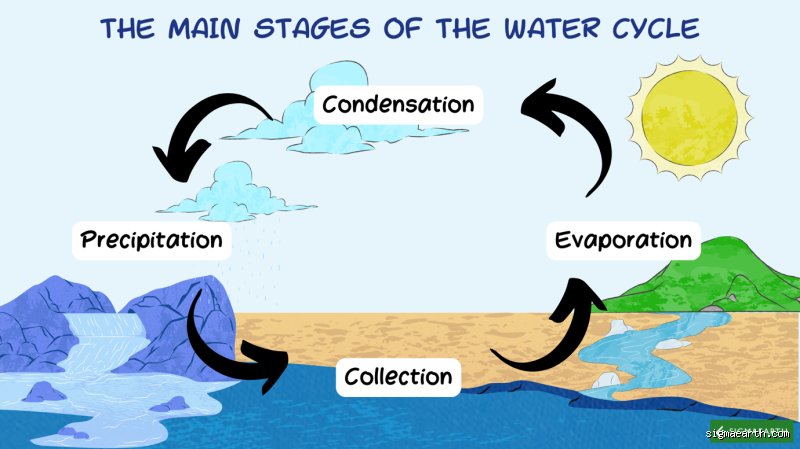 The Physics of Liquid Transition: What Are the 4 Steps of Evaporation in Modern Thermodynamics?