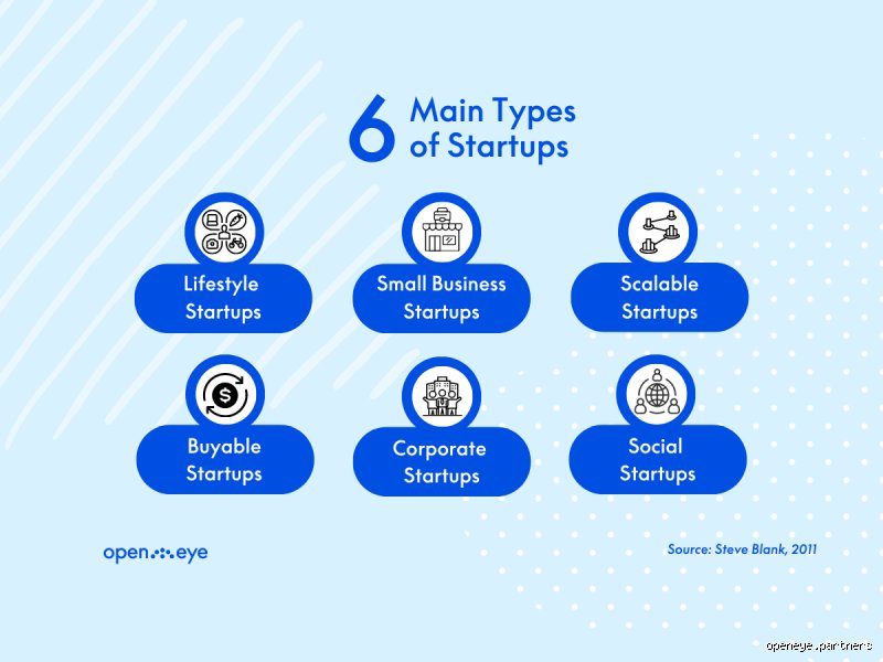 Why the Software-as-a-Service Model Dominates the Landscape: Which is the Most Common Startup Type?