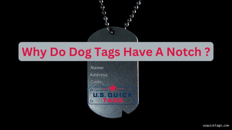 Decoding the Military Mystery: Why Do Dog Tags Have a Notch in Their Metal Frame?