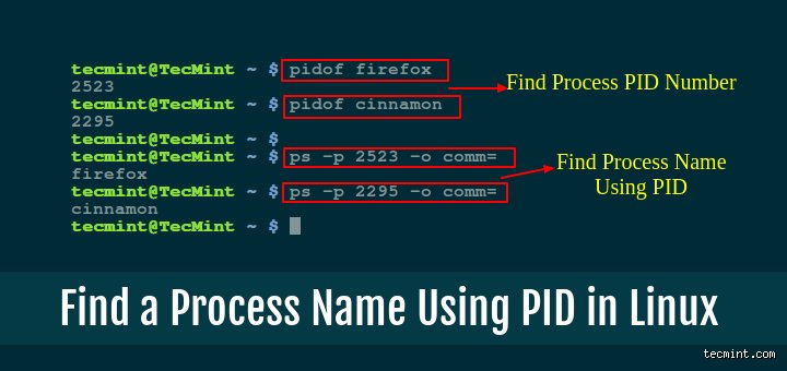 How to Find the PID Number Across Different Operating Systems and Environments