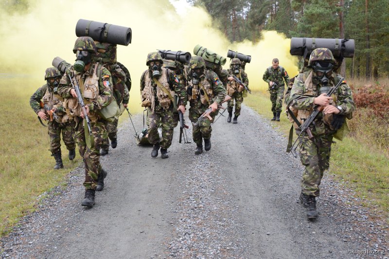 What Are 12 Soldiers Called in Military Terminology and Tactical Organization?