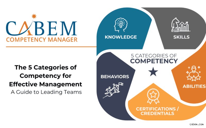 Navigating the Professional Landscape: What Are the 5 Types of Competencies You Need to Succeed