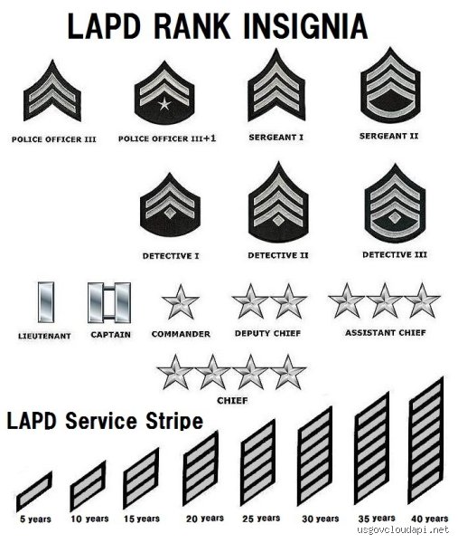 What Does Two Stripes on a Police Uniform Mean for Rank Hierarchy?