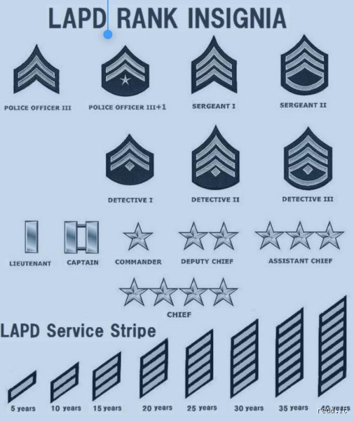 Decoding the Mid-Level Uniform: What Exactly is a P2 in The Rookie Universe?