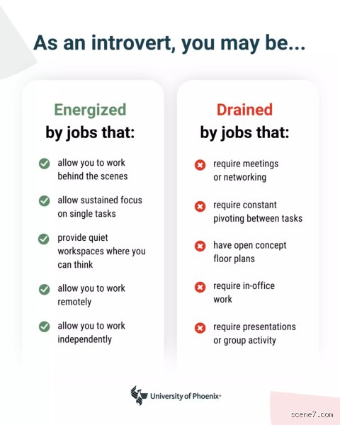 Unlocking Success: Discovering What Is The Best Career For An Introvert In A Loud Modern Economy