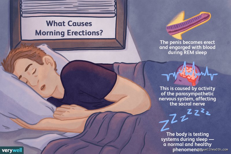 The Architecture of Arousal: Decoding the Complex Biological Triggers That Change Everything