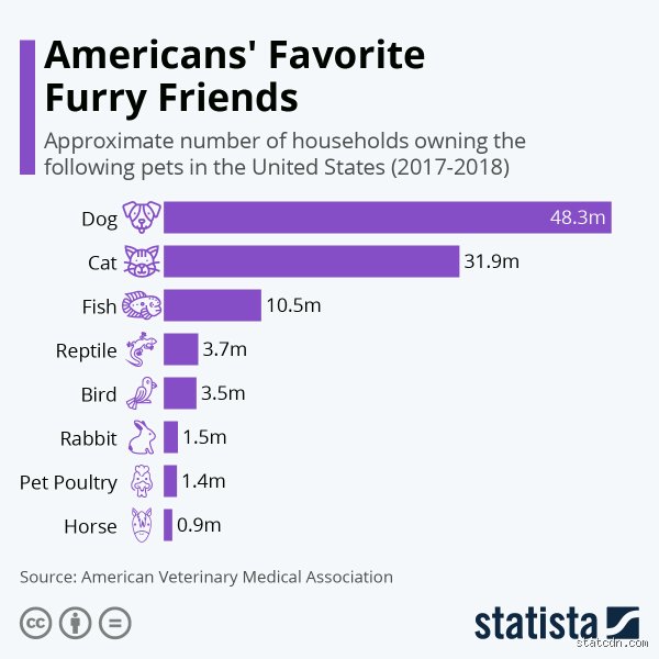 Why Your Daily Routine Is Quietly Flooded with Polyethylene Terephthalate: Where Is PET Most Commonly Used Today?